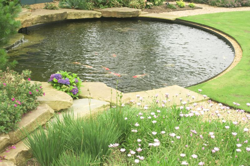 Pond Repair