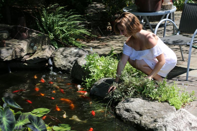 Fish Pond Installation in Honolulu, HI