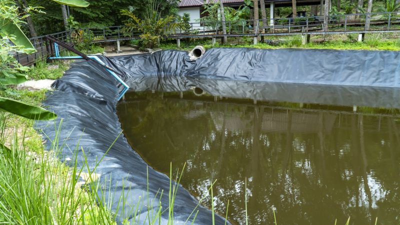 Pond Repair