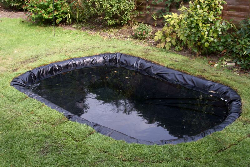 Pond Repair