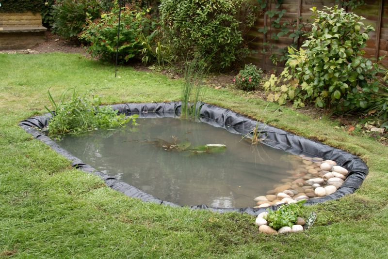 Pond Repair