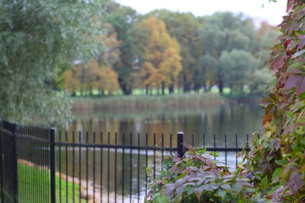 Pond Fence Installation